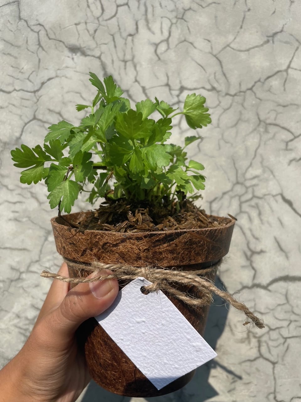 5f2f96df-e718-42a3-b624-6d65a435b86b