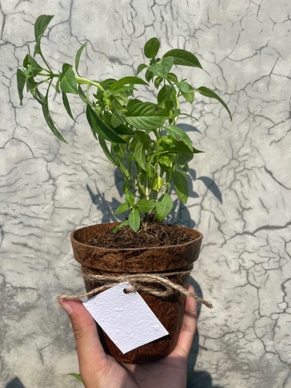 8e892f14-9908-4b99-b9de-da95b6c17c8b